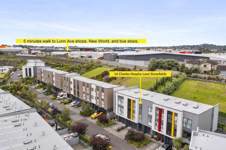 16 Charles Heaphy Lane Stonefields_6