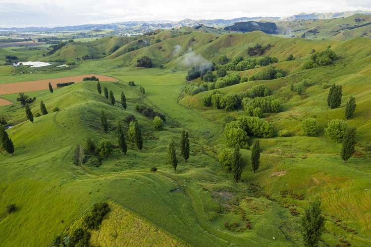 Lavenham Road Waituhi_9