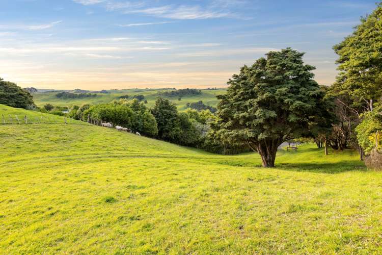 85 Taylor Road Waimauku_3