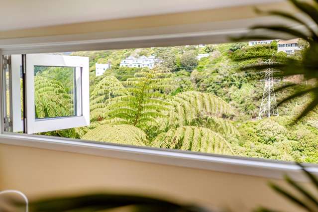 20 Putnam Street Northland_1