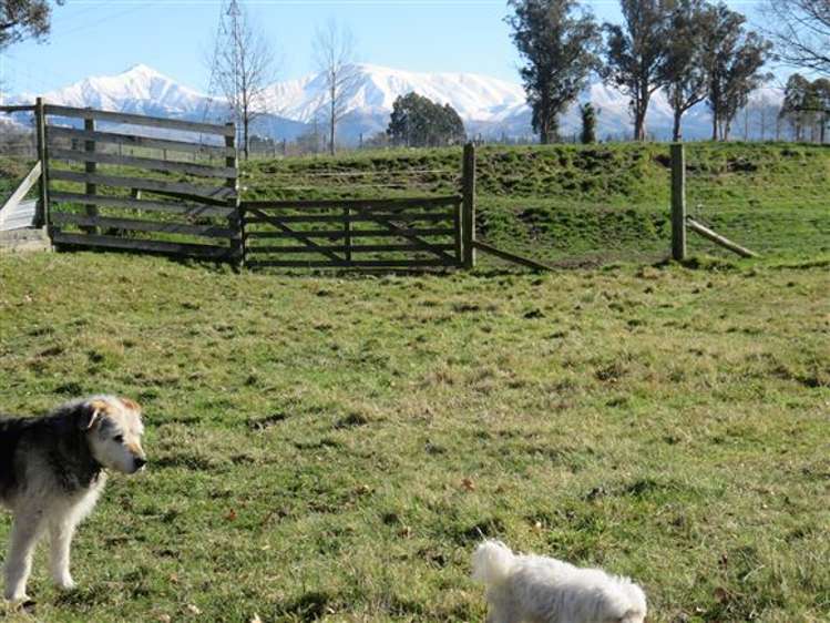 208 Woodbury Road Geraldine_16