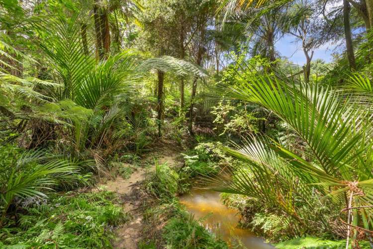 40 Olive Grove Mangawhai_29