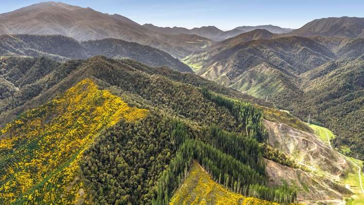 9 Nuggety Creek Road Longford_11