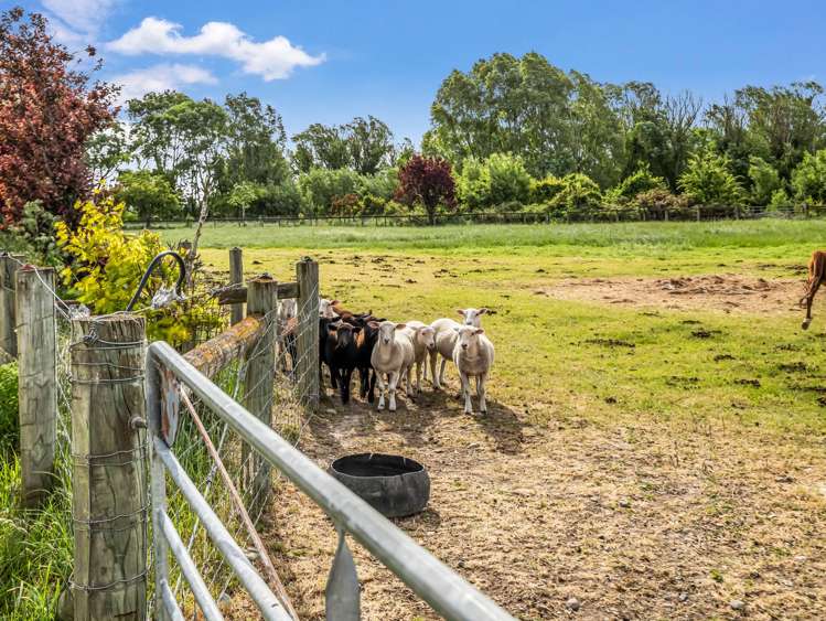 12 Swamp Road Cust_28