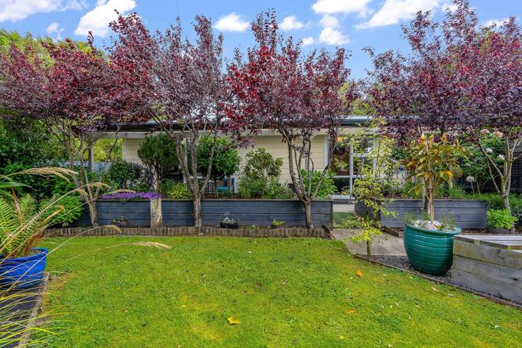 25 O'Hara Street Appleby_30