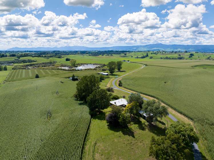 246 Lake Road Hauraki Surrounds_6