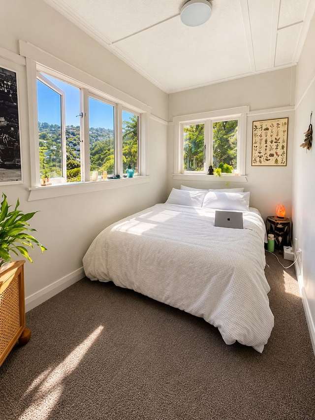 6 Semeloff Terrace Aro Valley_3