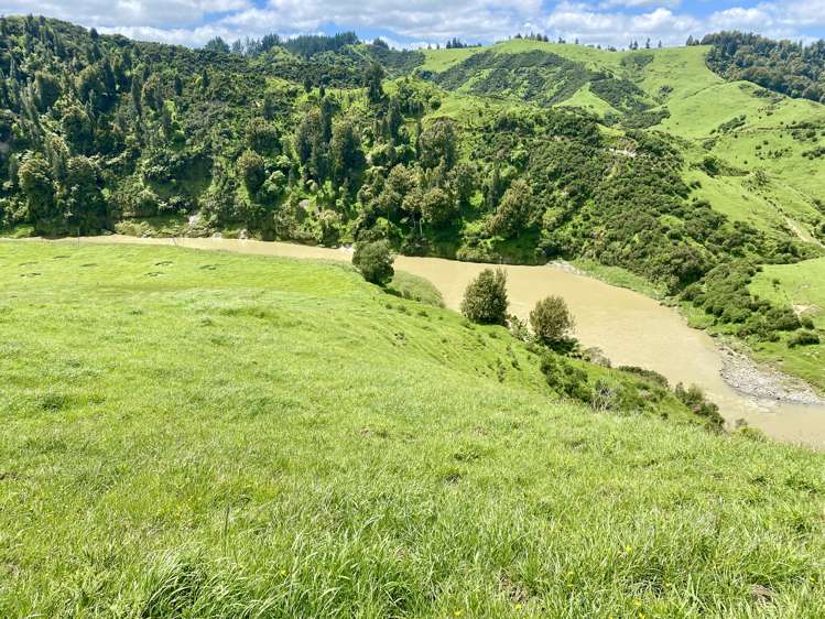 419 Motukawa Road Tarata_14