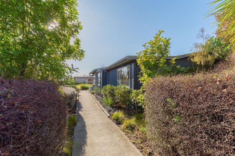 37 Waters Avenue Blenheim_5