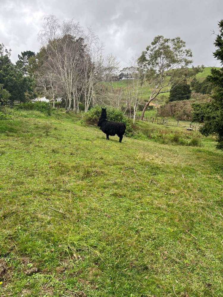 308 Monowai Road Wainui_17