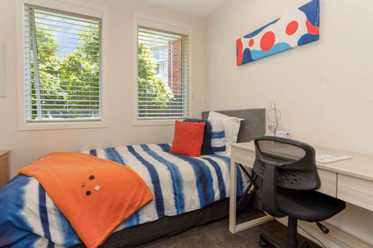 302 Saint Heliers Bay Road Saint Heliers_18