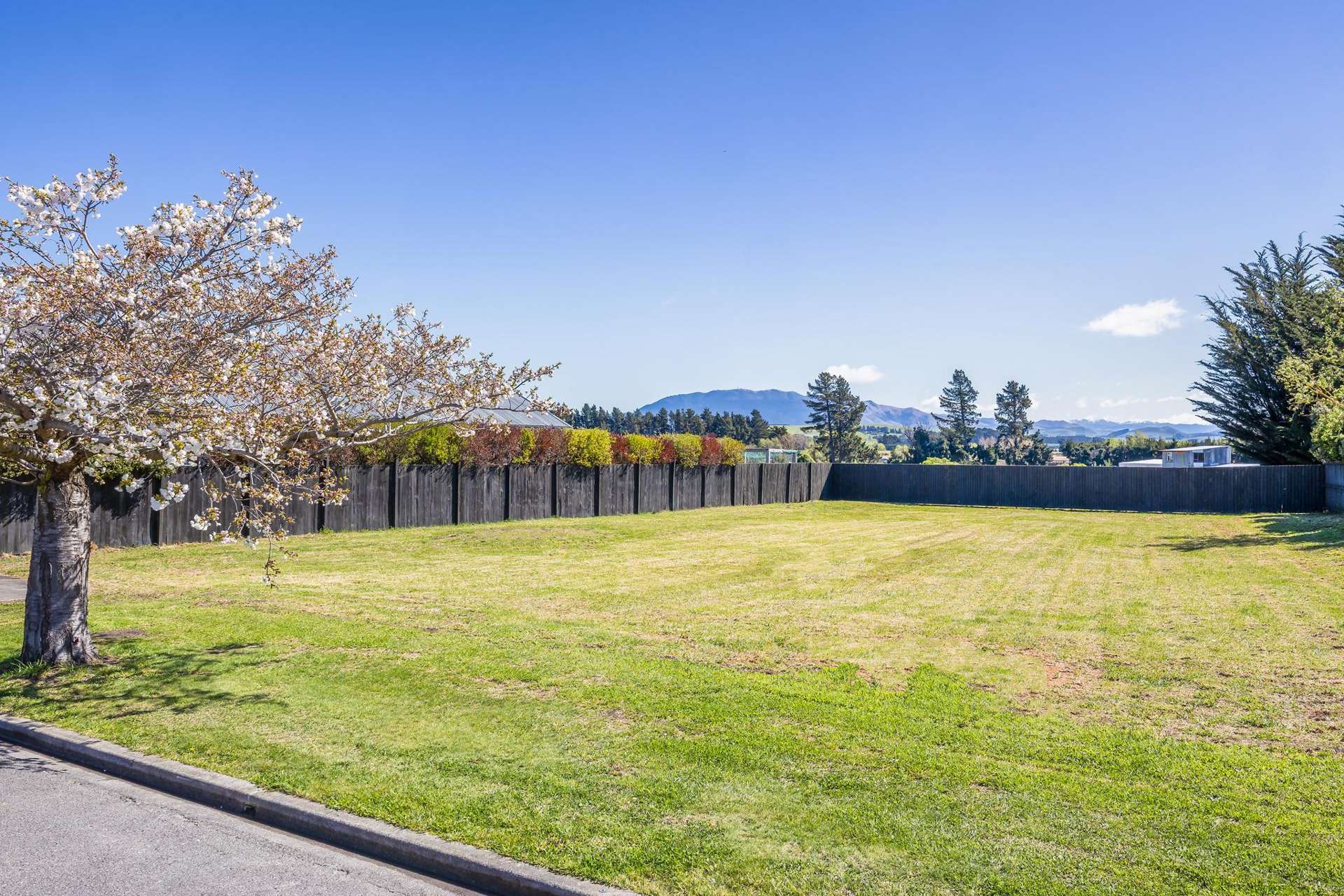 14 Ropley Street Amberley_0