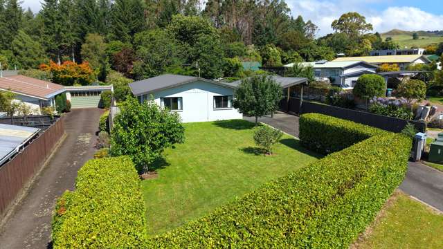 88 Tihi Road Springfield_2