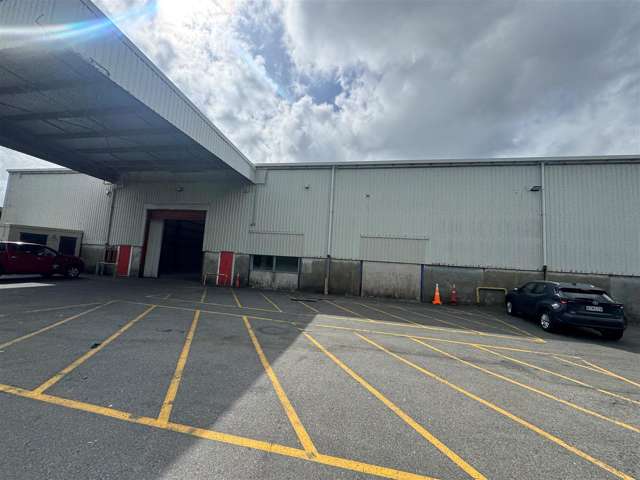 476 Jackson Street Petone_4