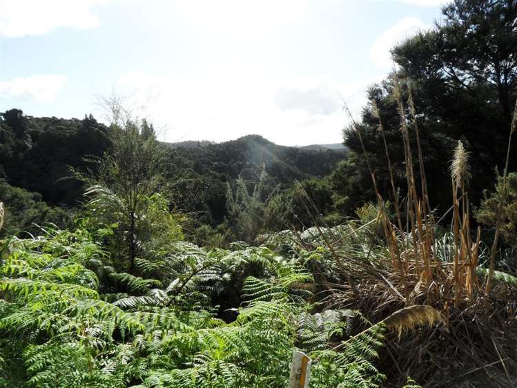 Paihia Road Paihia_2