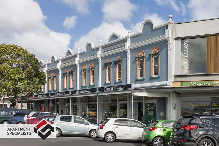 250 Richmond Grey Lynn_21