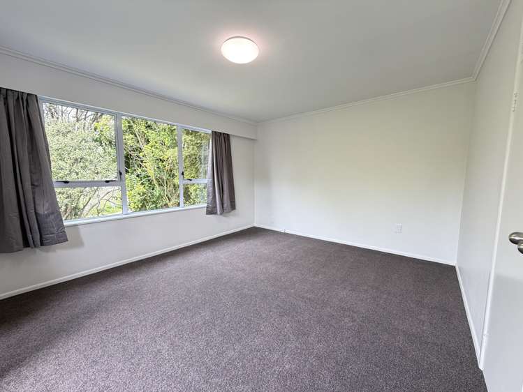 1424 Alfriston Road Ardmore_5