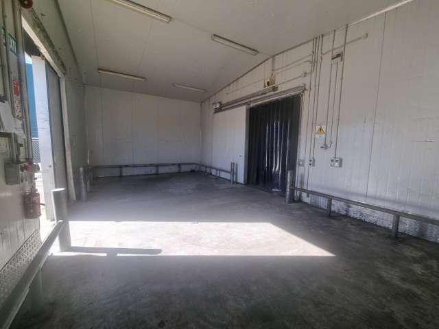 6A Te Puni Street Petone_3