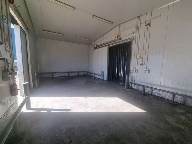 6A Te Puni Street Petone_3