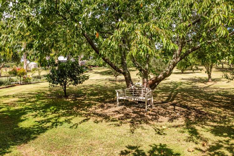 17 Poplar lane Kerikeri_11