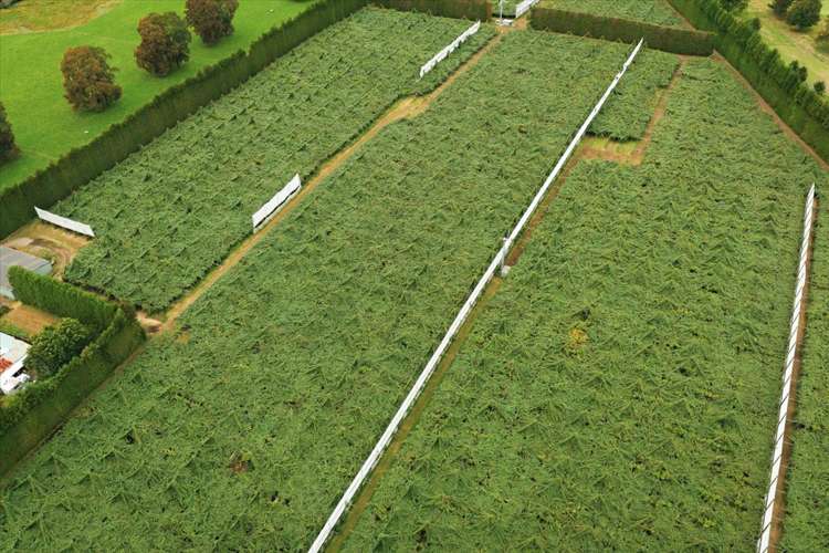 79 Woodlands Road Waihi Beach_26