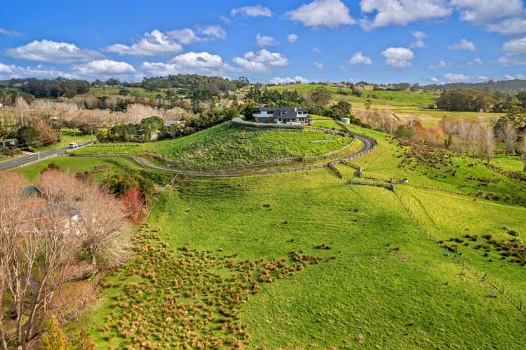 384 Pine Valley Road Dairy Flat_28