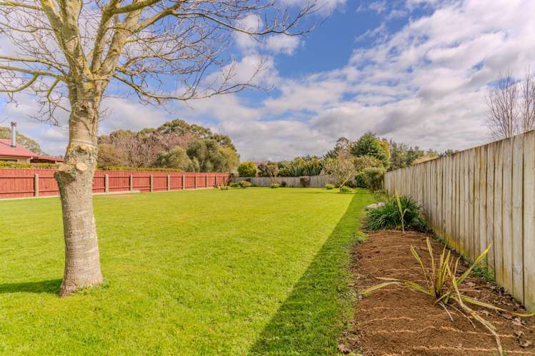 113A Fergusson Street Woodville_8