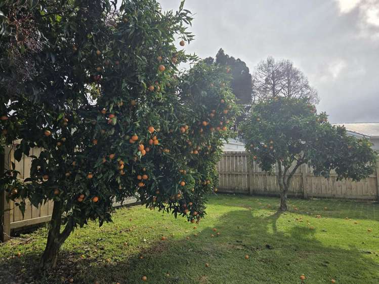 9A Heke Street Kaikohe_17