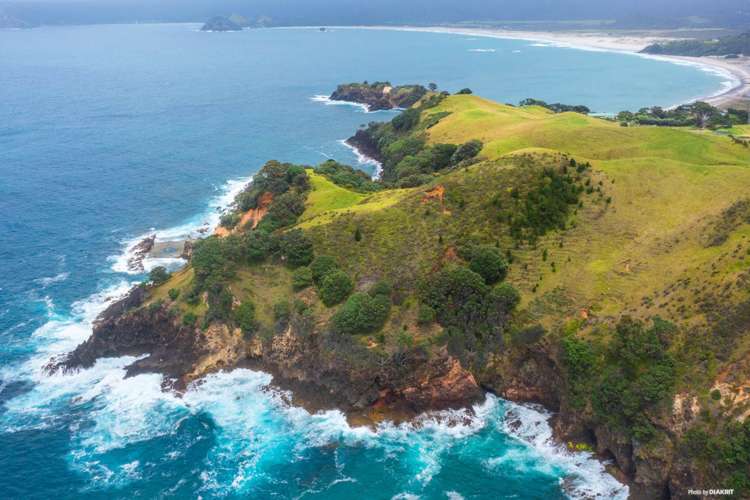 346 Gray Road Great Barrier Island (Aotea Island)_5