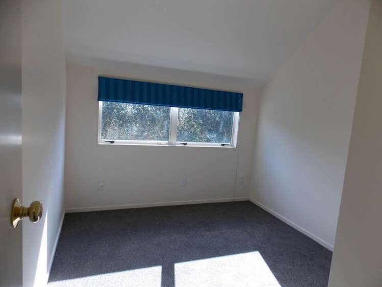 53a Pah Road Epsom_8