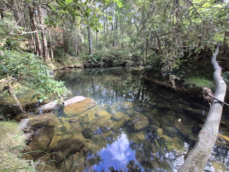 123b Montrose Road Kerikeri_16