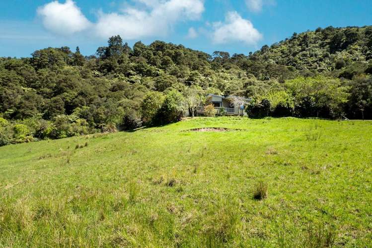 5 Tapu Creek Farms Tapu_30