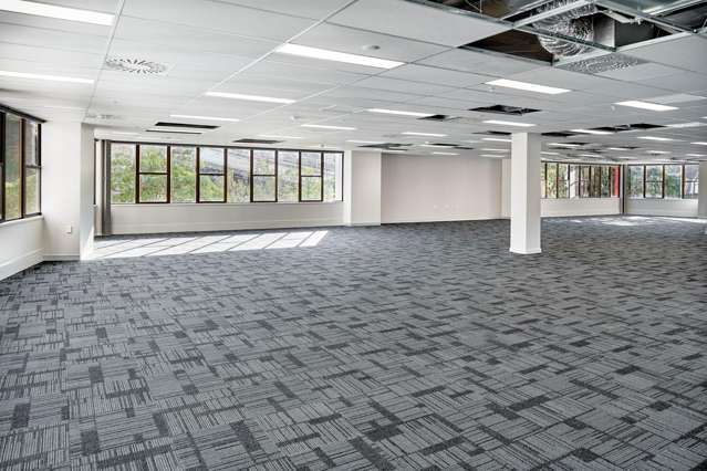 11 Aurora Terrace Wellington Central_2