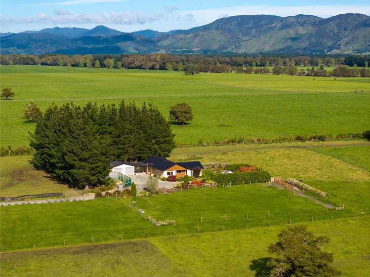 151A Woodside Road Greytown_20