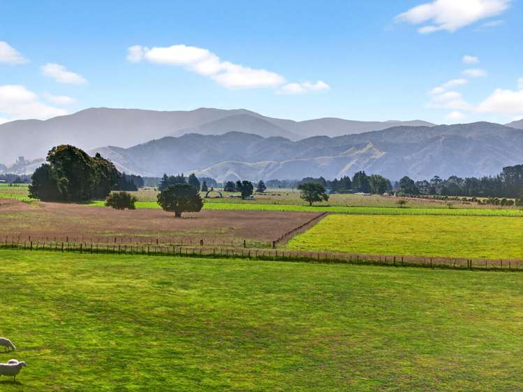 Lot 2, 36A Spencer Lane Greytown_7