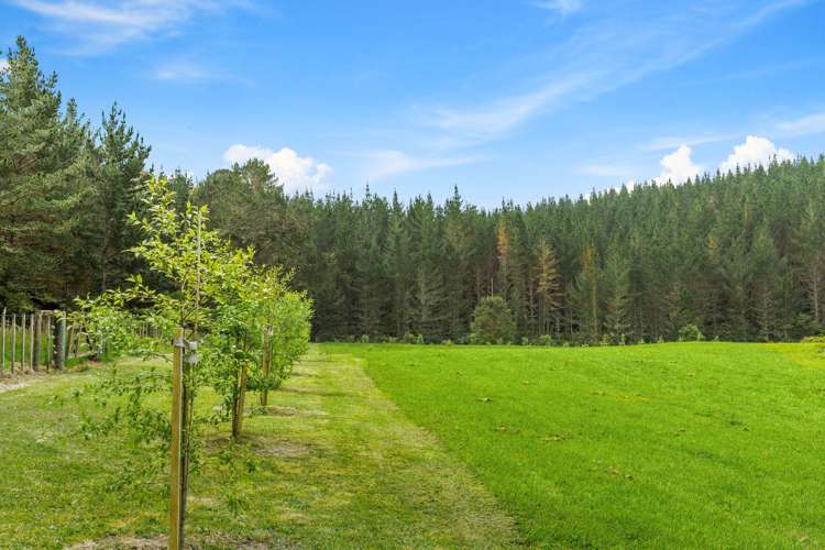 255 Mill Flat Road Riverhead_5