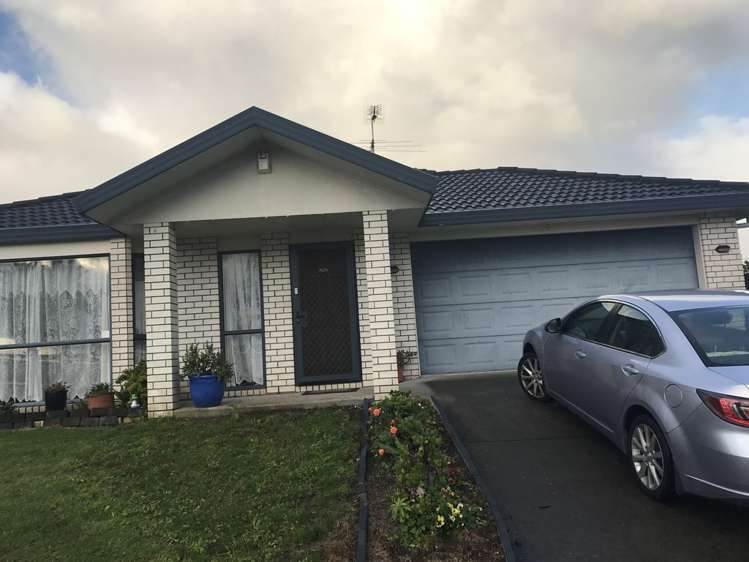 209 Te Irirangi Drive Flat Bush_1