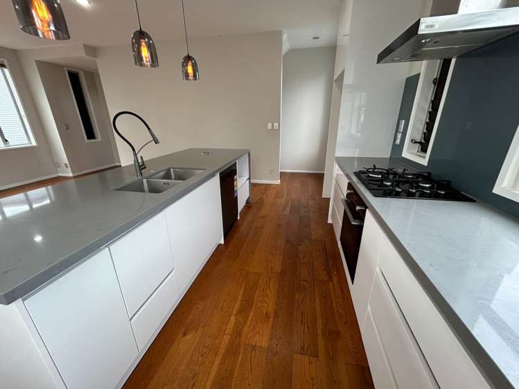 6b Carlton Gore Road Grafton_6