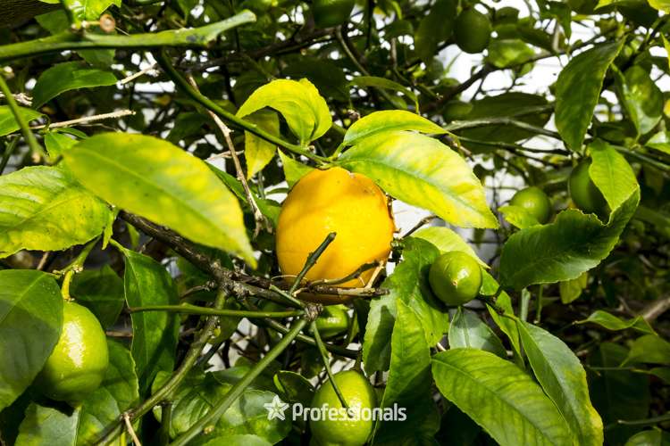 55 Norana Road Timberlea_5