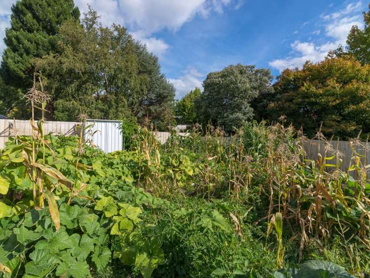 10 Rogers Place Kinloch_12