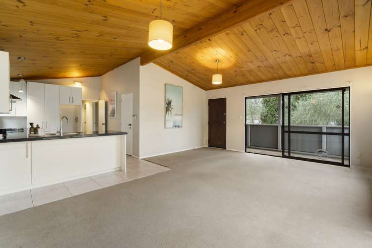 42a Don Croot Street Morningside_5