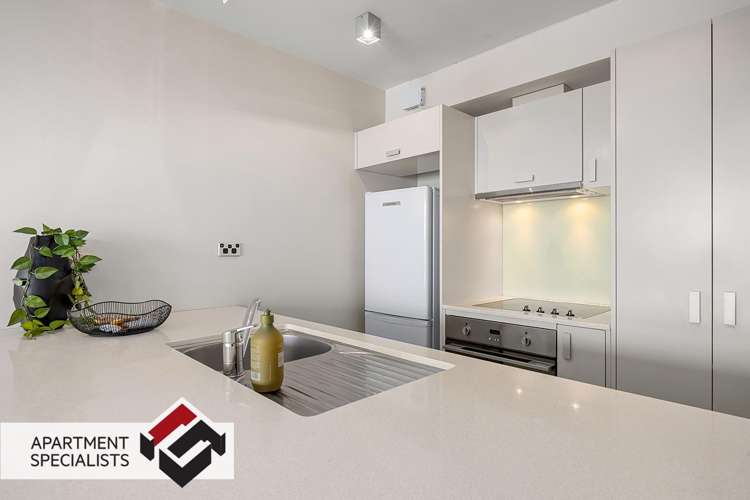 16 Chapman Street Grey Lynn_12