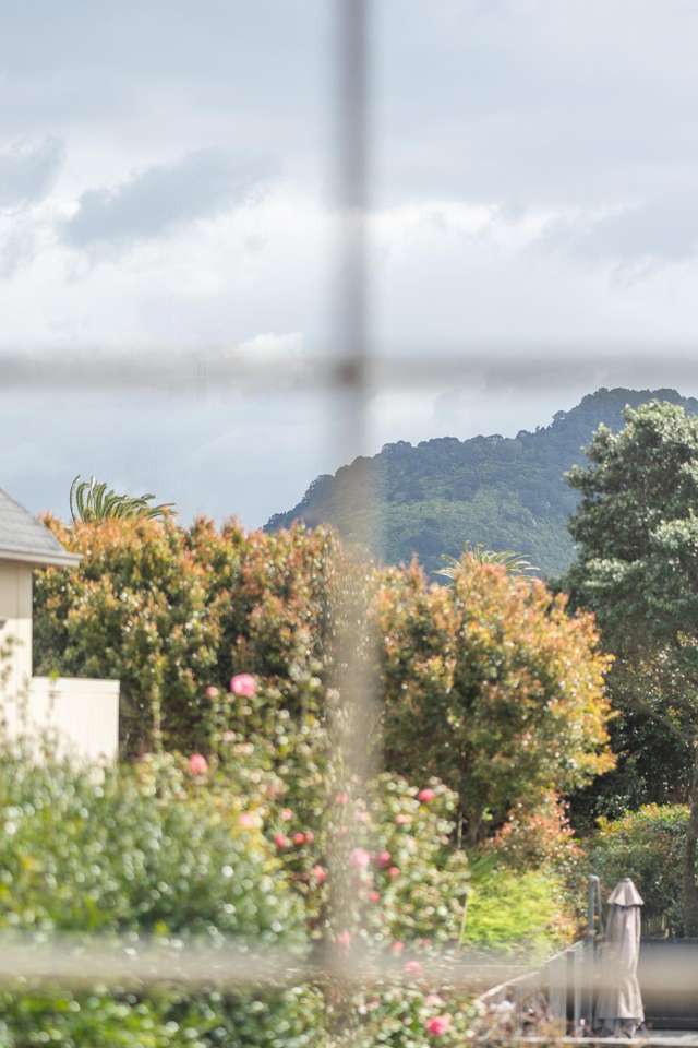 86 Muricata Avenue Mt Maunganui_4