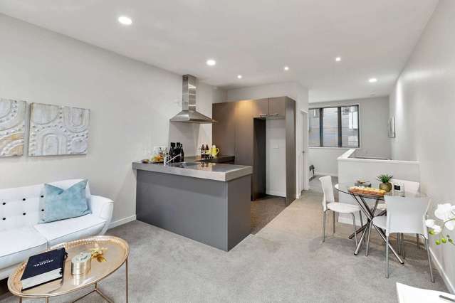 88 Harold Street Mount Eden_2