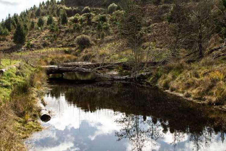 81D Middle Road Raetihi_18