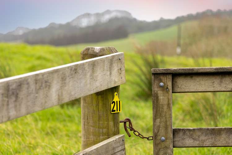 103 and 121 Radcliffe Road Tomarata Rodney Rural Property For