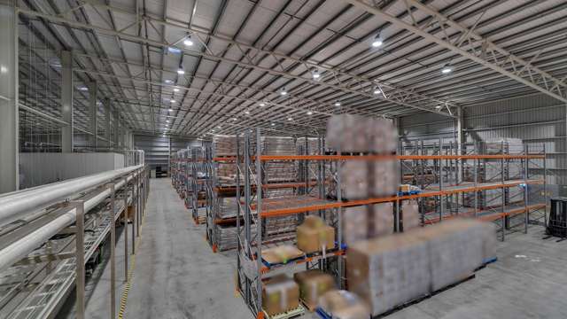 9 Ashford Avenue Ashburton_2