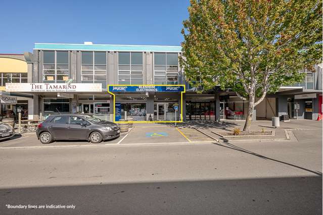 8C Scott Street Blenheim Central_1