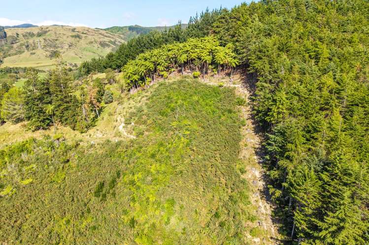 358 Kuku East Road Manakau_18