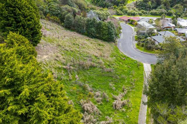 16 Webster Place Picton_3